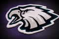 Philadelphia Eagles Inspired Hand-Tufted Rug | Custom Sports Rug