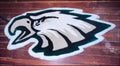 Custom Tufted Rugs